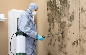 Reliable Lock Haven, PA Mold Prevention & Removal  Solutions